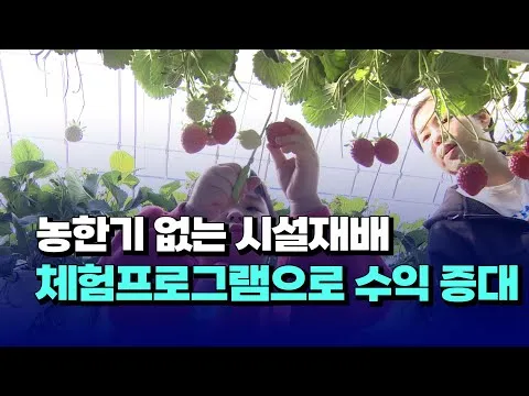 농한기 수익 아이템 건조채소 장아찌 씨앗판매 체험농장_8