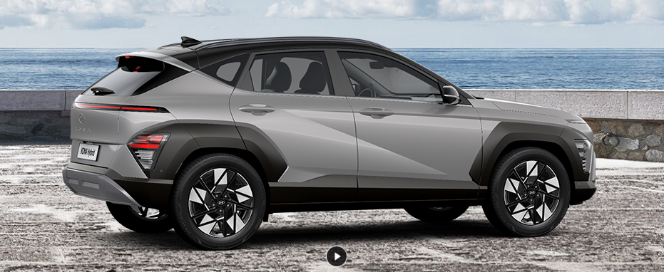 사이버 그레이 메탈릭 / 어비스 블랙 펄