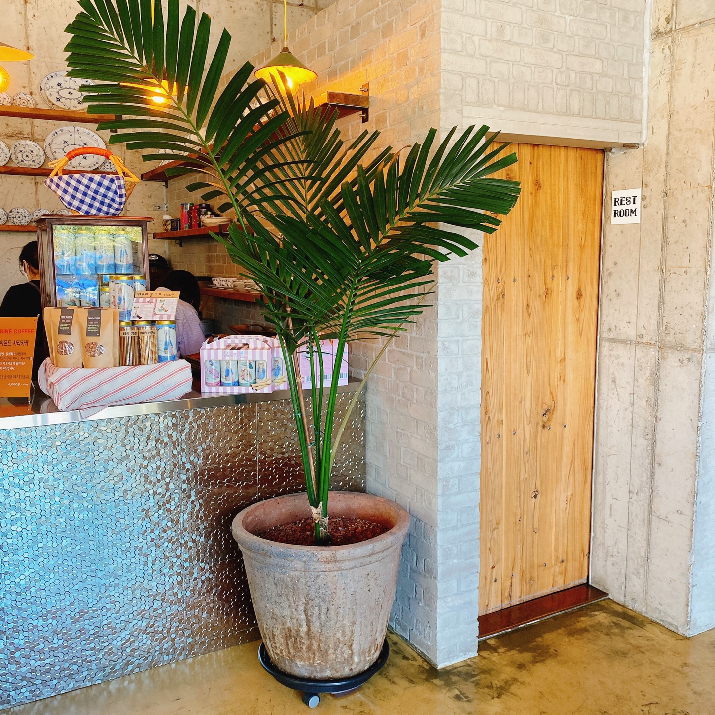 제주 조천 와흘메밀마을 하겐다즈아몬드아포가토 트라인커피 조천카페