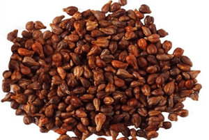 포도씨유의 효능06