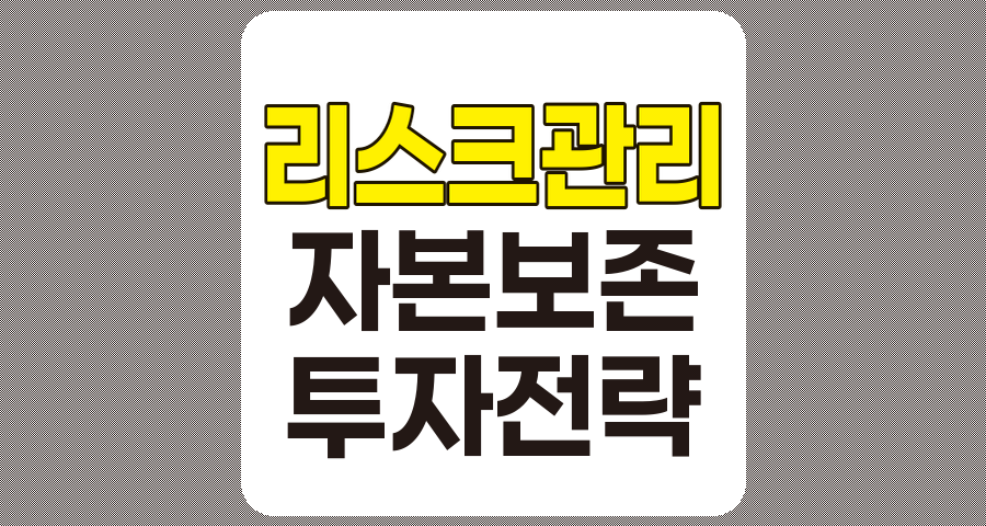 리스크 관리 전략, 자본 보존을 위한 투자 접근법