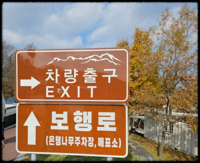 황매산 억새축제&amp;#44; 놓치면 후회할 필수 정보!