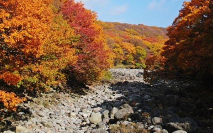2025 한라산 단풍 절정시기 공개! 가을 초보자 코스 완벽 정리