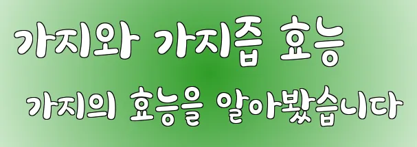 가지와 가지즙 효능 가지의 효능을 알아봤습니다