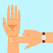 맥박 재는 방법과 연령별 맥박 정상 범위1