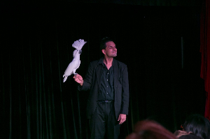 괌 여행 추천 비바 매직 공연장