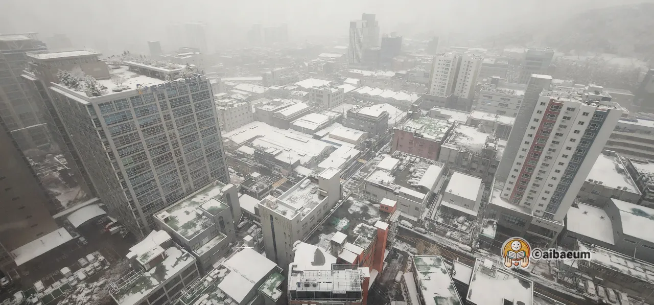 도시-첫눈이-도시에-쌓인다