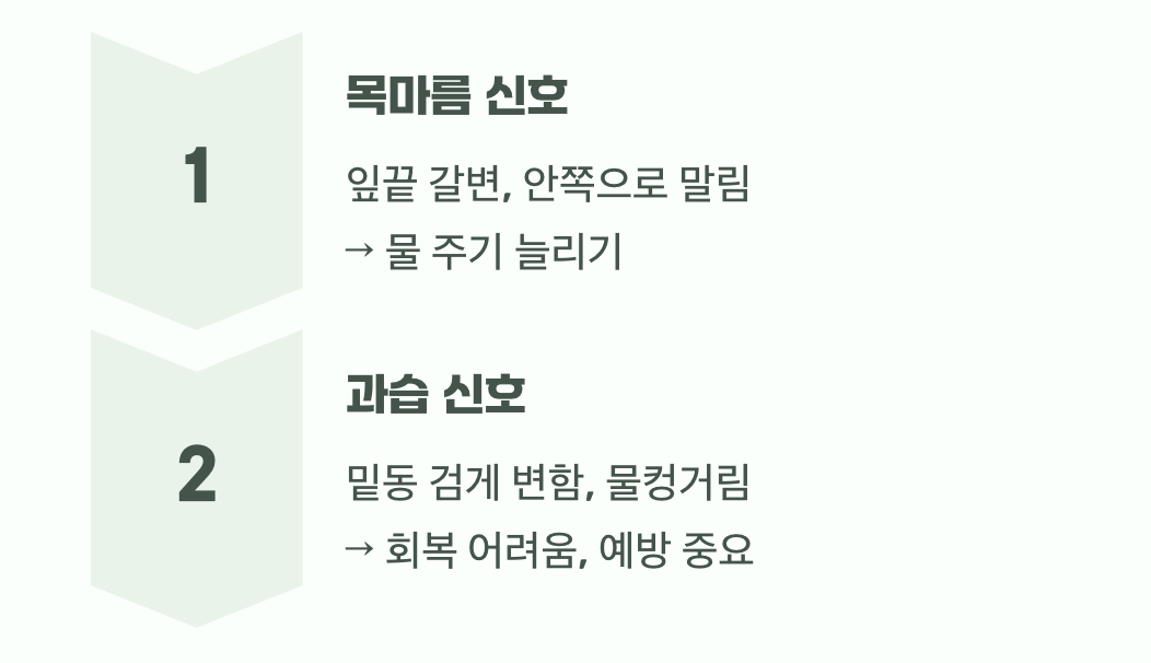 아파요! 이오난사가 보내는 신호