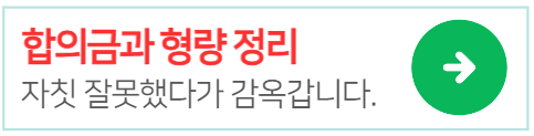 합의금과형량