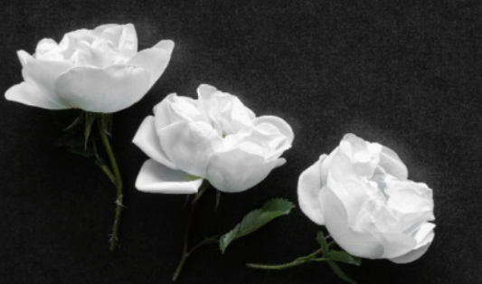 죽는 꿈 해몽, 길몽일까 흉몽일까? (무료 꿈해몽)