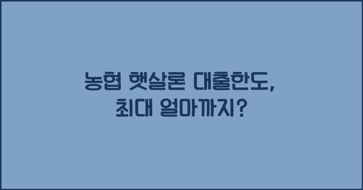 농협 햇살론 대출한도