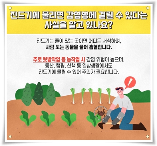 "진드기" 야외 활동의 숨은 적, 안전한 야외 활동을 위한 가이드!