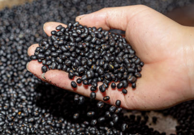 신장에 좋은 음식 7가지 조리법 나쁜 음식 등 총정리(최신)