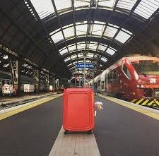 만다리나덕 캐리어