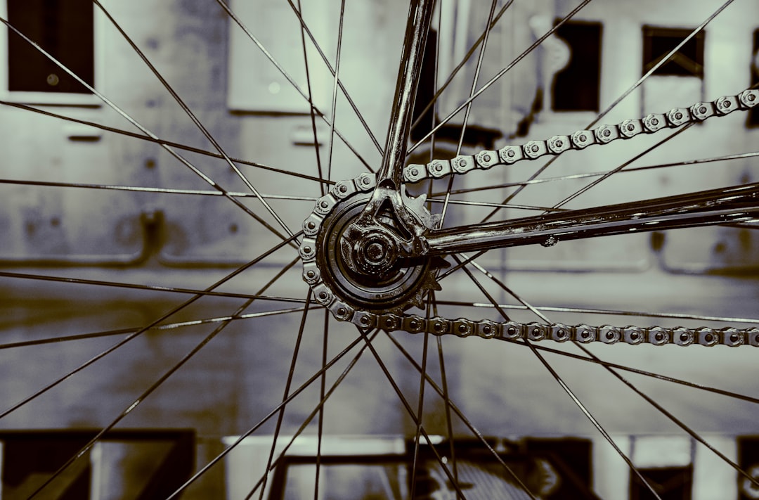 Business Cycle