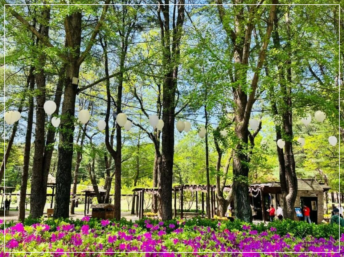 춘천 가볼만한곳 베스트10 남이섬