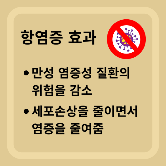 항염증 효과