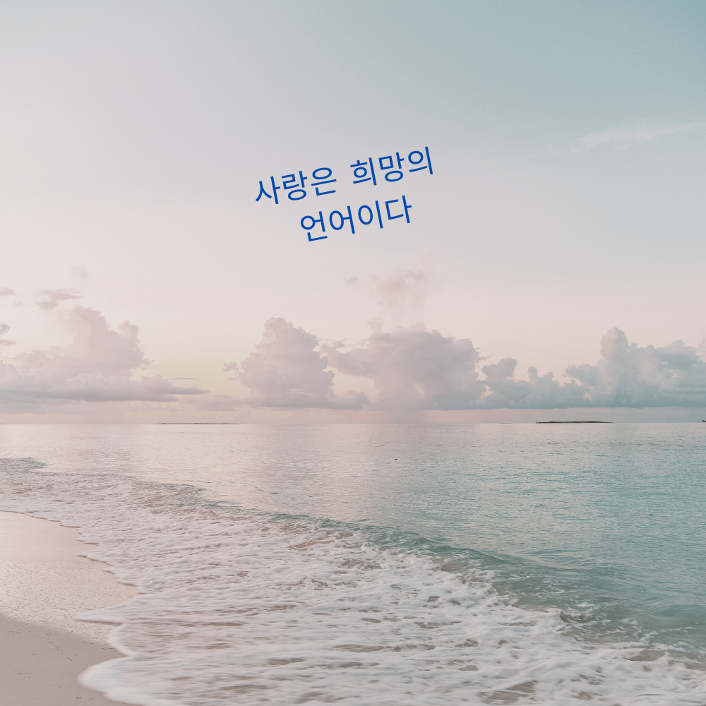 짧고 좋은 사랑 글귀 좋은글 문구 이미지 모음