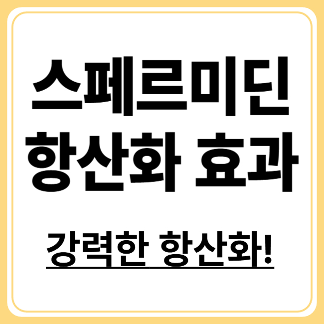 '세포 청소부', 스페르미딘의 항산화 비밀