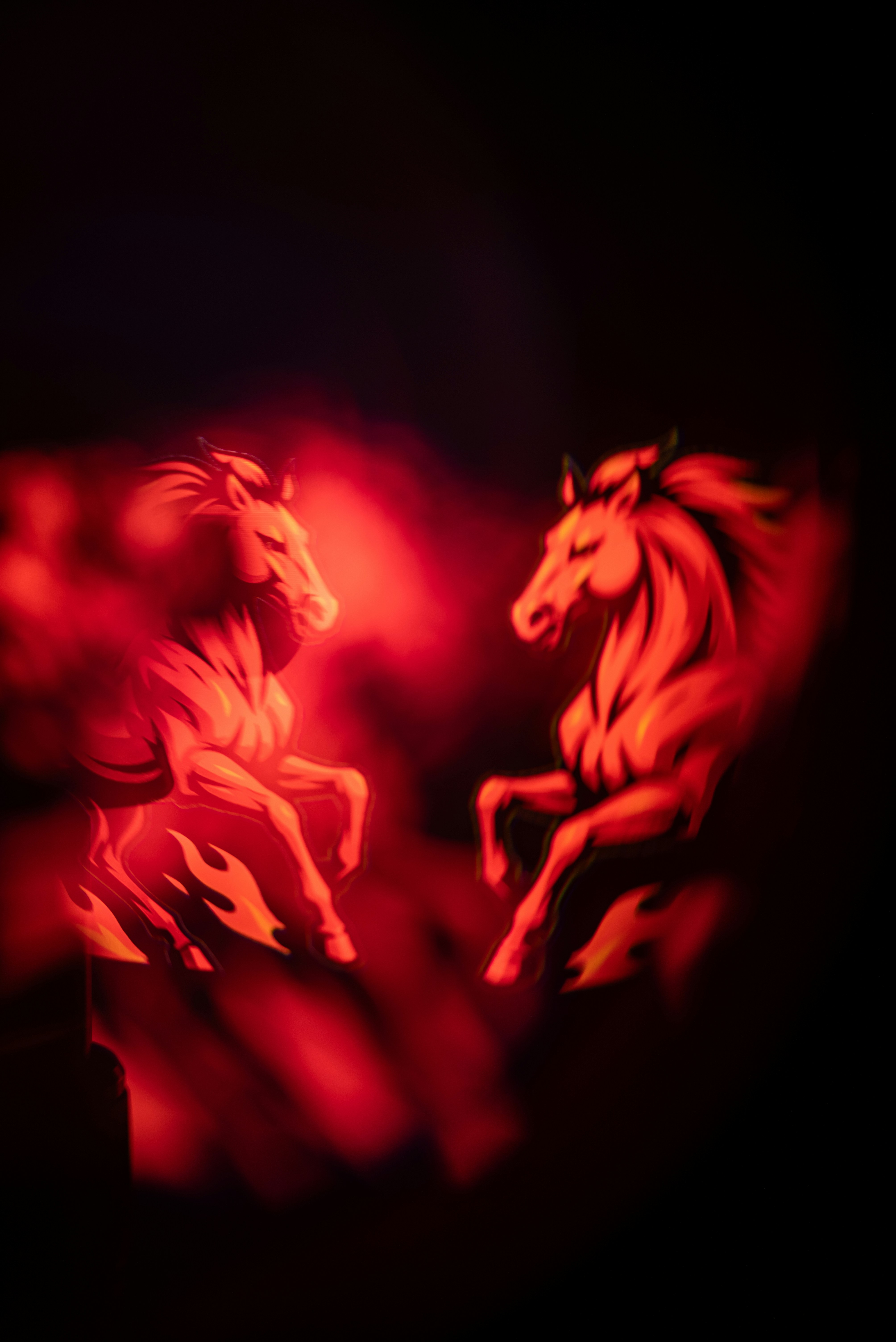 십이간지-2026년 병오년 붉은말의 해