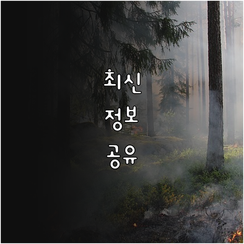 건강 지킴이 2025 성북 시각장애인..