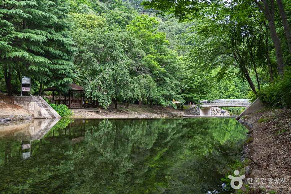 고산자연휴양림