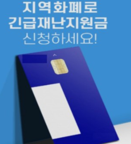 5차재난지원금선별