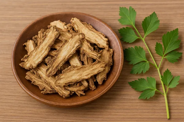 말린 당귀와 신선한 잎