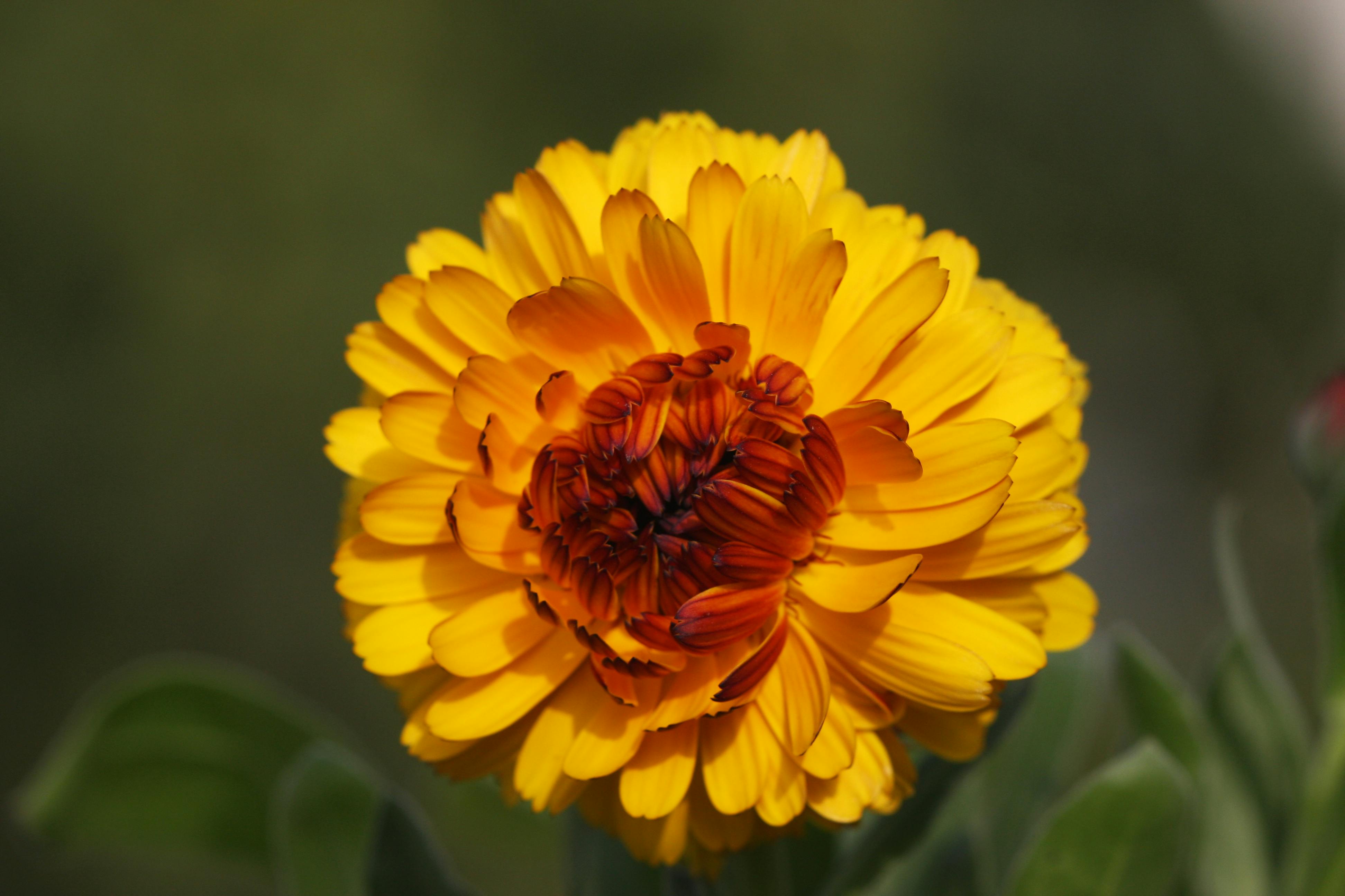 무자일 9월 16일 띠별 운세 대박 조심해야 할 띠