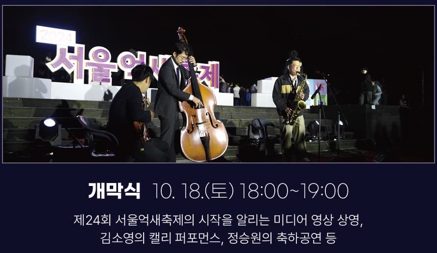 🌾 2025 서울억새축제 완벽 가이드