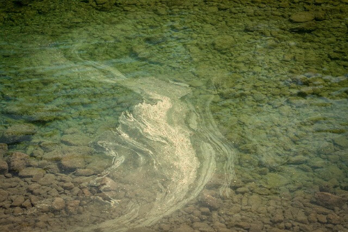 지역적 희귀 창원 공업단지 휘발성 유기화합물 알레르기