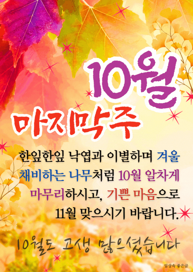 가로수 낙엽길 가을 배경의 10월 마지막날 인사말 이미지, 11월 인사말로 어울리는 단풍 이미지, 가을 감성 좋은글 사진, 카톡 공유용 계절 인사 이미지