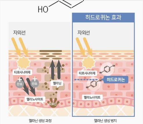 도미나-크림-효능