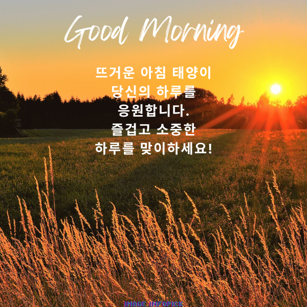 아침 인사로 좋은 글 이미지 아침 인사말 문구 모음