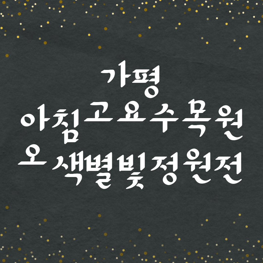가평 아침고요수목원 오색별빛정원전