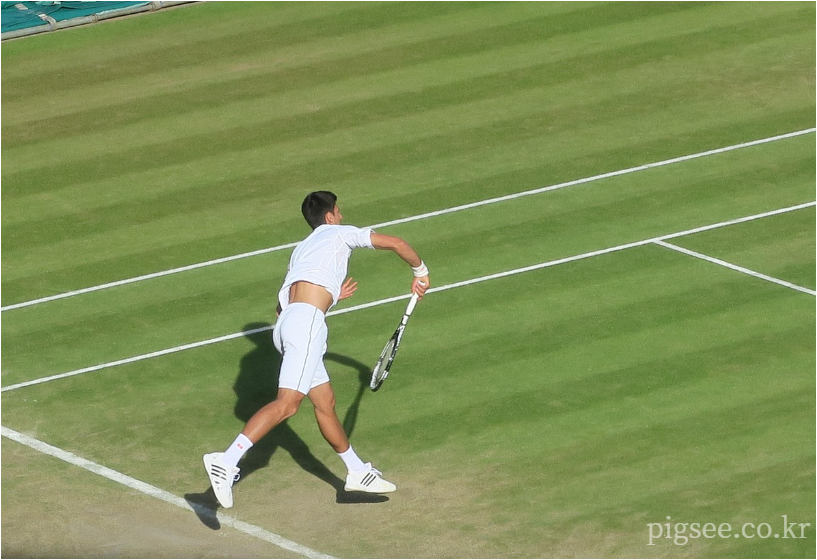 윔블던-경기-중
