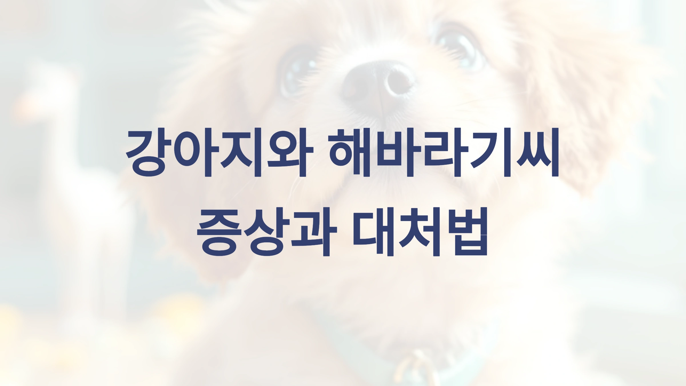 🐶 강아지가 해바라기씨를 먹었을 때 증상과 대처법