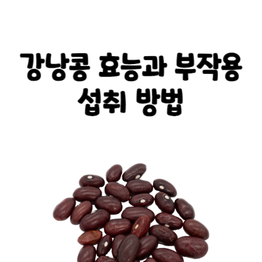 강낭콩 효능과 부작용 및 섭취 방법