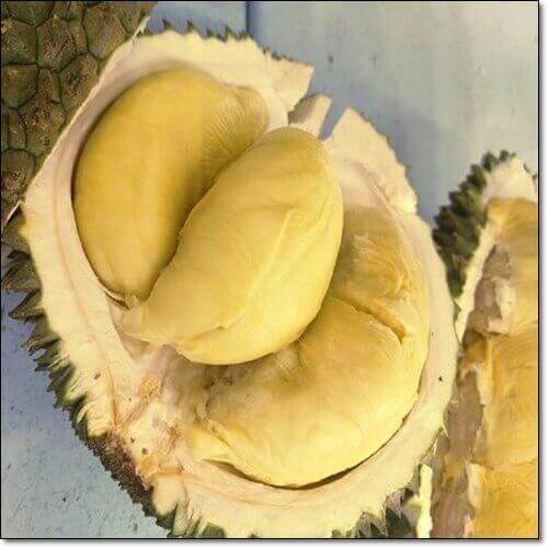 두리안 효능 및 맛과 영양 성분 먹는 법과 주의점