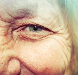 씀바귀 효능과 부작용 먹는법 고르는법