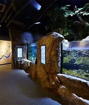 화담숲 테마별 사진