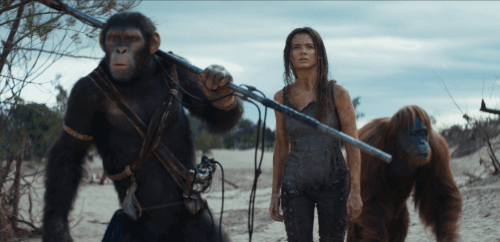 노아와 마에, 라카가 서있다