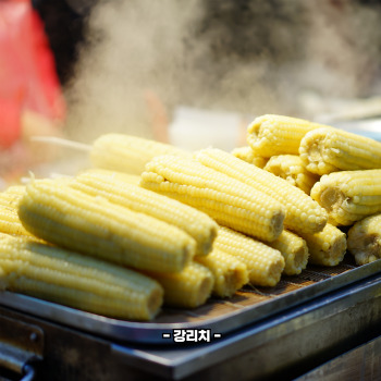 초당옥수수 부작용