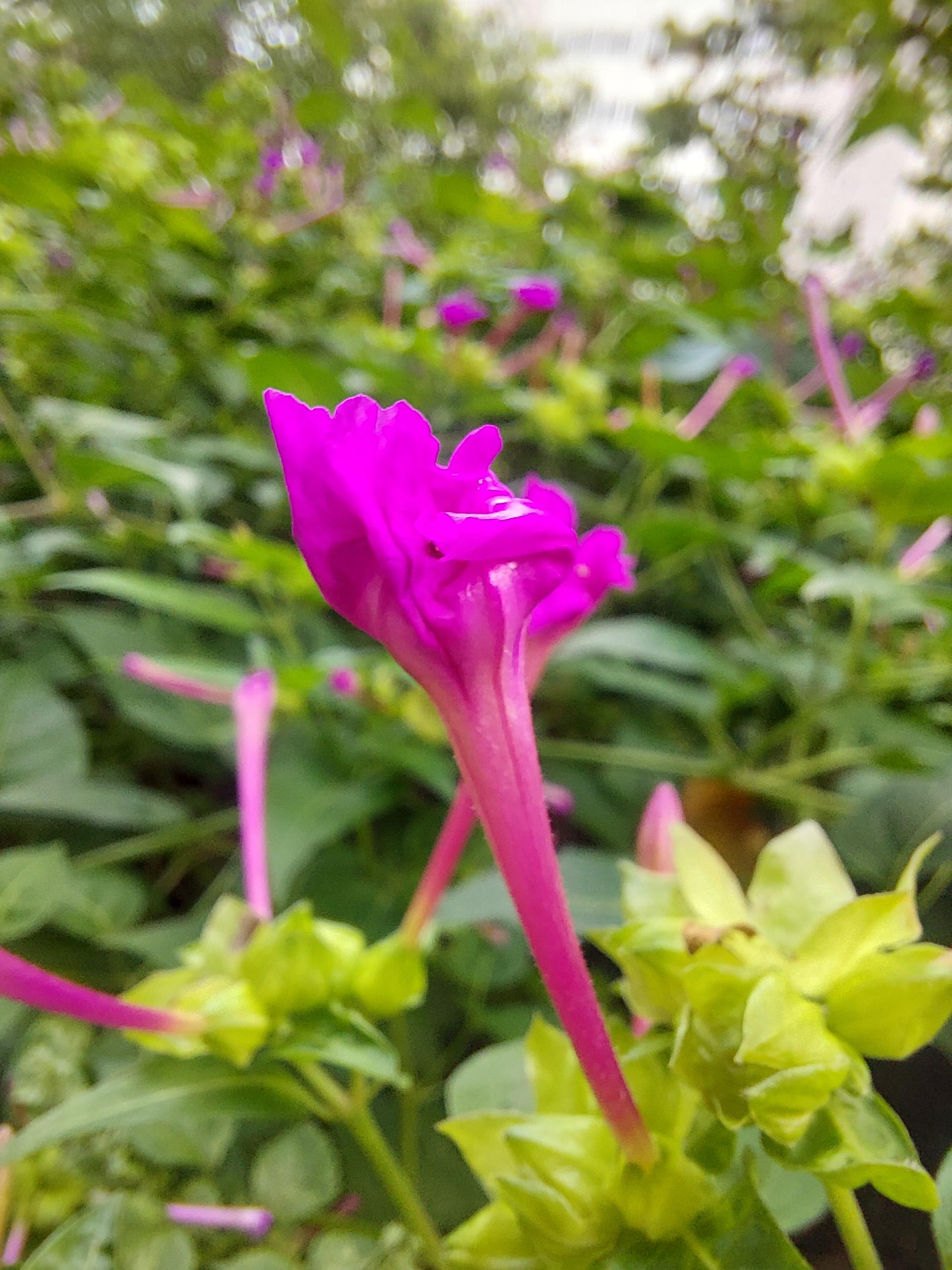 안산