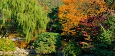 서울근교 단풍 명소 추천