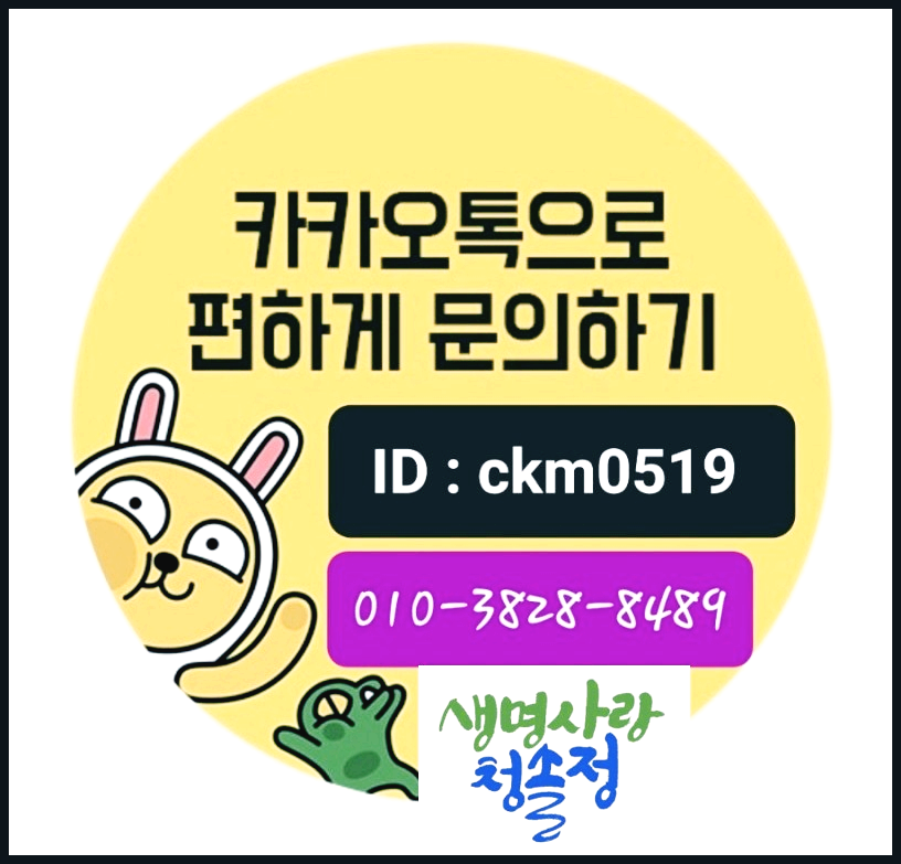 생명사랑 청솔정 카카오톡 문의하기