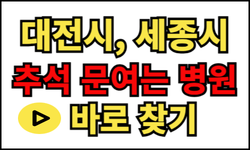 대전시 문 여는 병원, 세종시 명절 약국 찾기, 추석 설날 연휴