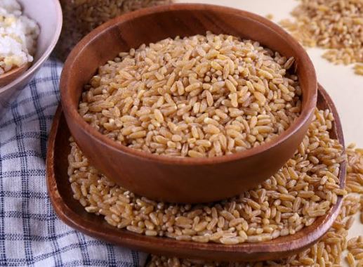 카무트 효소 효능