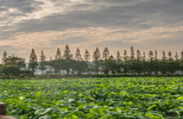 추석 연휴 숙박 할인 쿠폰