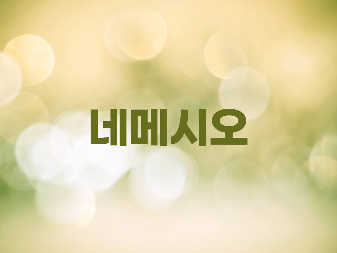 네메시오 천주교 남자세례명 4인 목록